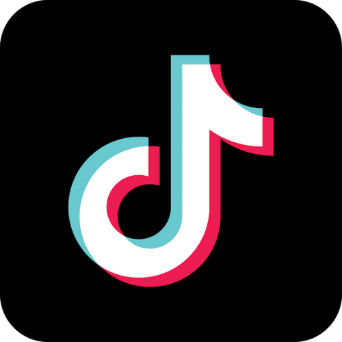 Tiktok log